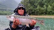 big Rainbow, Slovenia fly fishing